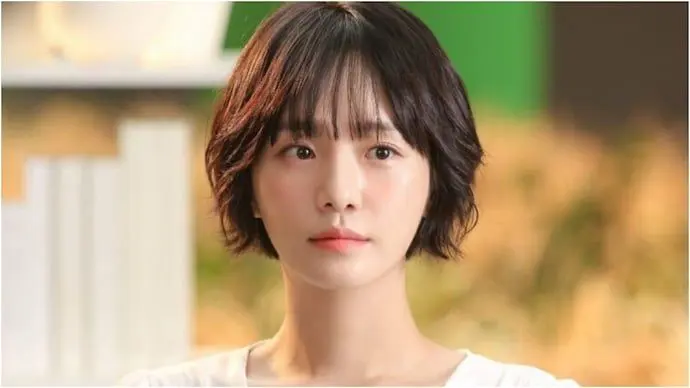 Feed Flow - https://read.feedflow.us/review-korean-drama-celebrity/