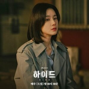 Hide Korean Drama: Best K-Drama Series Review 2025