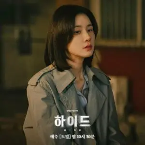 Hide Korean Drama: Best K-Drama Series Review 2025