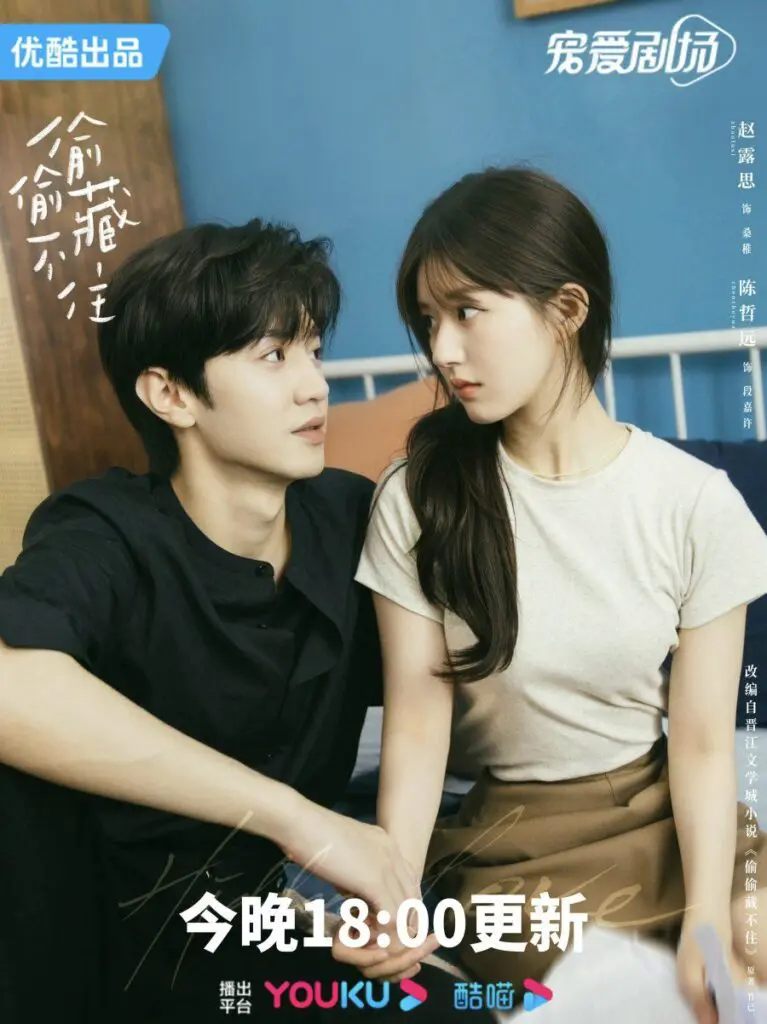 Feed Flow - https://read.feedflow.us/hidden-love-chinese-drama-review-2024/