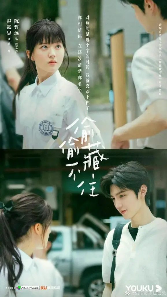 Feed Flow - https://read.feedflow.us/hidden-love-chinese-drama-review-2024/
