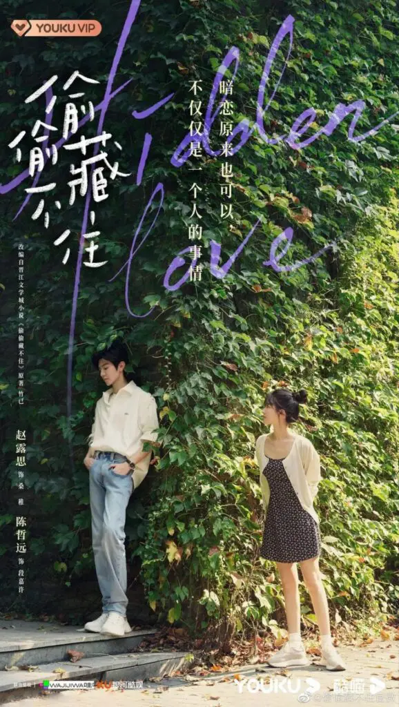Feed Flow - https://read.feedflow.us/hidden-love-chinese-drama-review-2024/