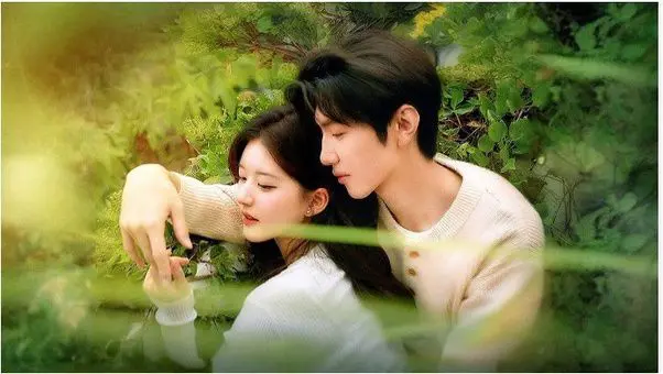 Feed Flow - https://read.feedflow.us/hidden-love-chinese-drama-review-2024/