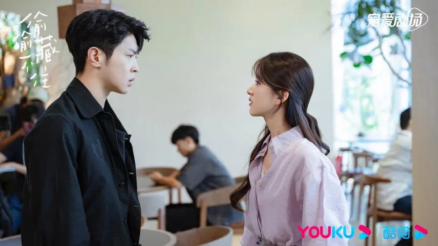 Feed Flow - https://read.feedflow.us/hidden-love-chinese-drama-review-2024/