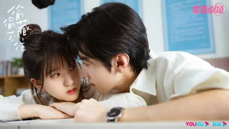 Feed Flow - https://read.feedflow.us/hidden-love-chinese-drama-review-2024/