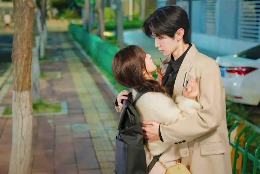 Feed Flow - https://read.feedflow.us/hidden-love-chinese-drama-review-2024/