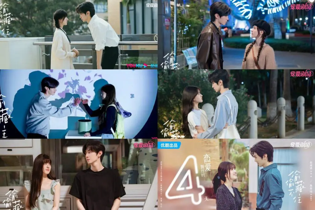 Feed Flow - https://read.feedflow.us/hidden-love-chinese-drama-review-2024/