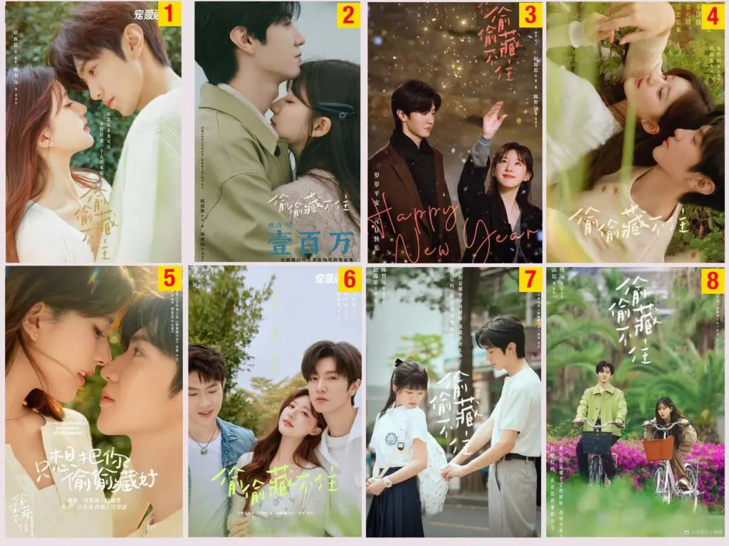 Feed Flow - https://read.feedflow.us/hidden-love-chinese-drama-review-2024/