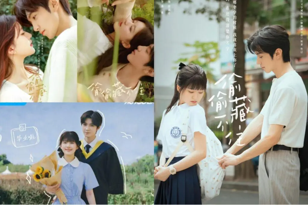 Feed Flow - https://read.feedflow.us/hidden-love-chinese-drama-review-2024/
