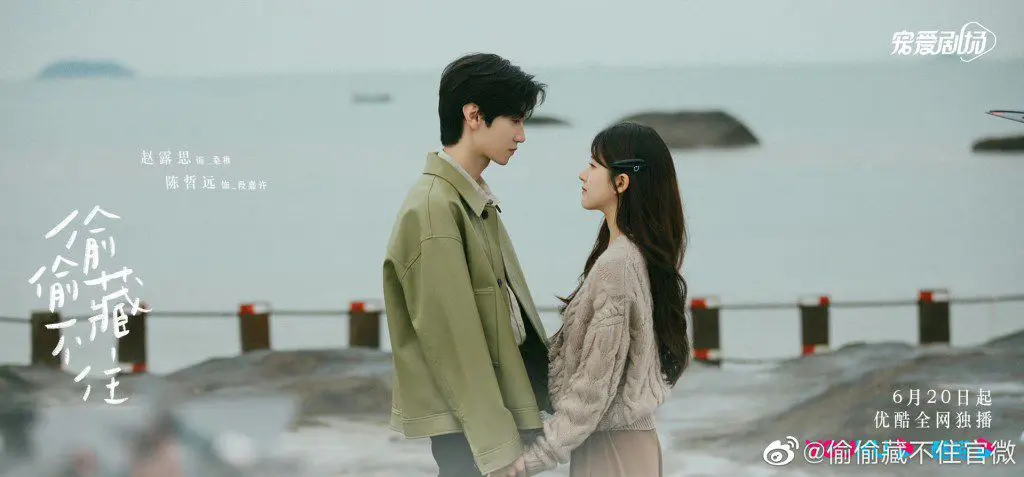 Feed Flow - https://read.feedflow.us/hidden-love-chinese-drama-review-2024/