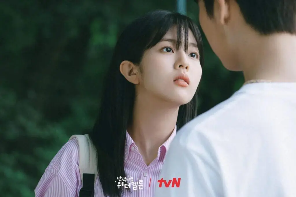 Twinkling Watermelon: Best K-drama Series Review 2024 12 Feed Flow - https://read.feedflow.us/twinkling-watermelon-best-k-drama-series-2024/