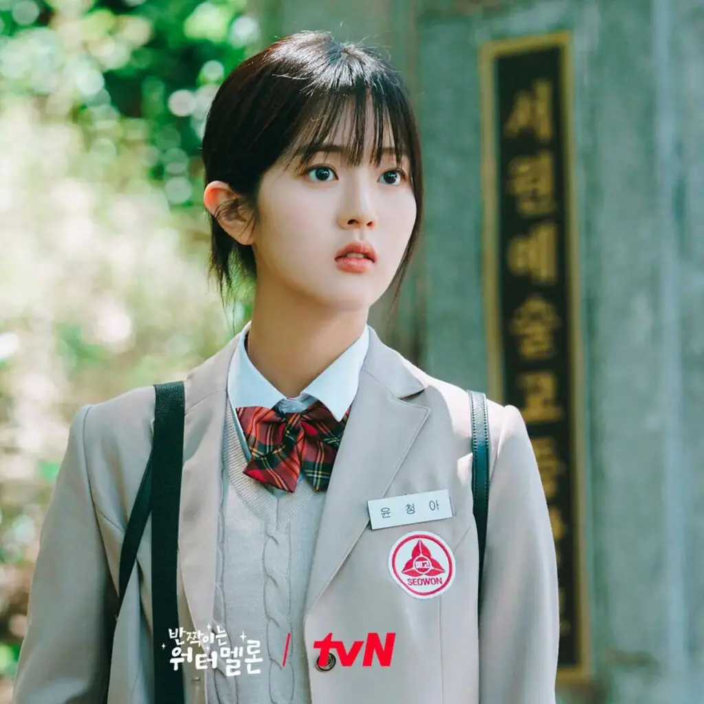Twinkling Watermelon: Best K-drama Series Review 2024 19 Feed Flow - https://read.feedflow.us/twinkling-watermelon-best-k-drama-series-2024/
