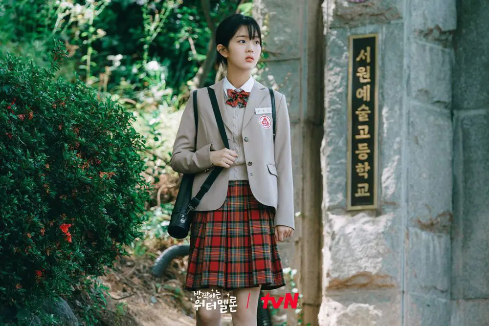 Twinkling Watermelon: Best K-drama Series Review 2024 17 Feed Flow - https://read.feedflow.us/twinkling-watermelon-best-k-drama-series-2024/