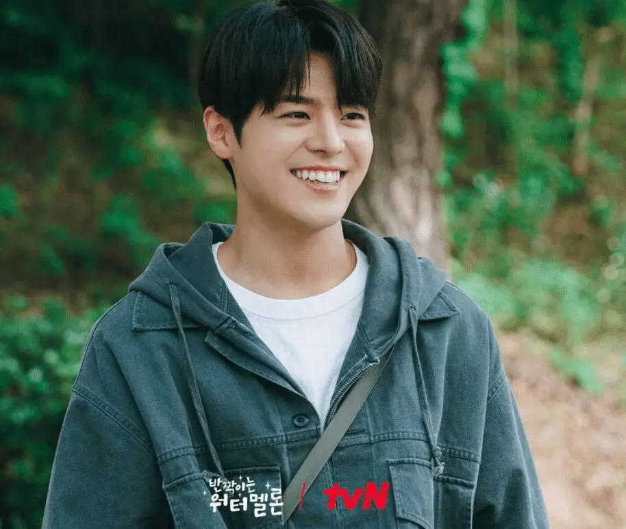 Twinkling Watermelon: Best K-drama Series Review 2024 73 Feed Flow - https://read.feedflow.us/twinkling-watermelon-best-k-drama-series-2024/
