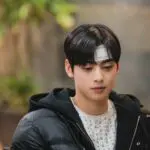 Feed Flow - https://read.feedflow.us/korean-drama-true-beauty-best-k-drama-series-2024/