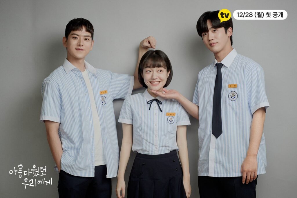 A Love So Beautiful: Best Korean Drama Series Review 2025