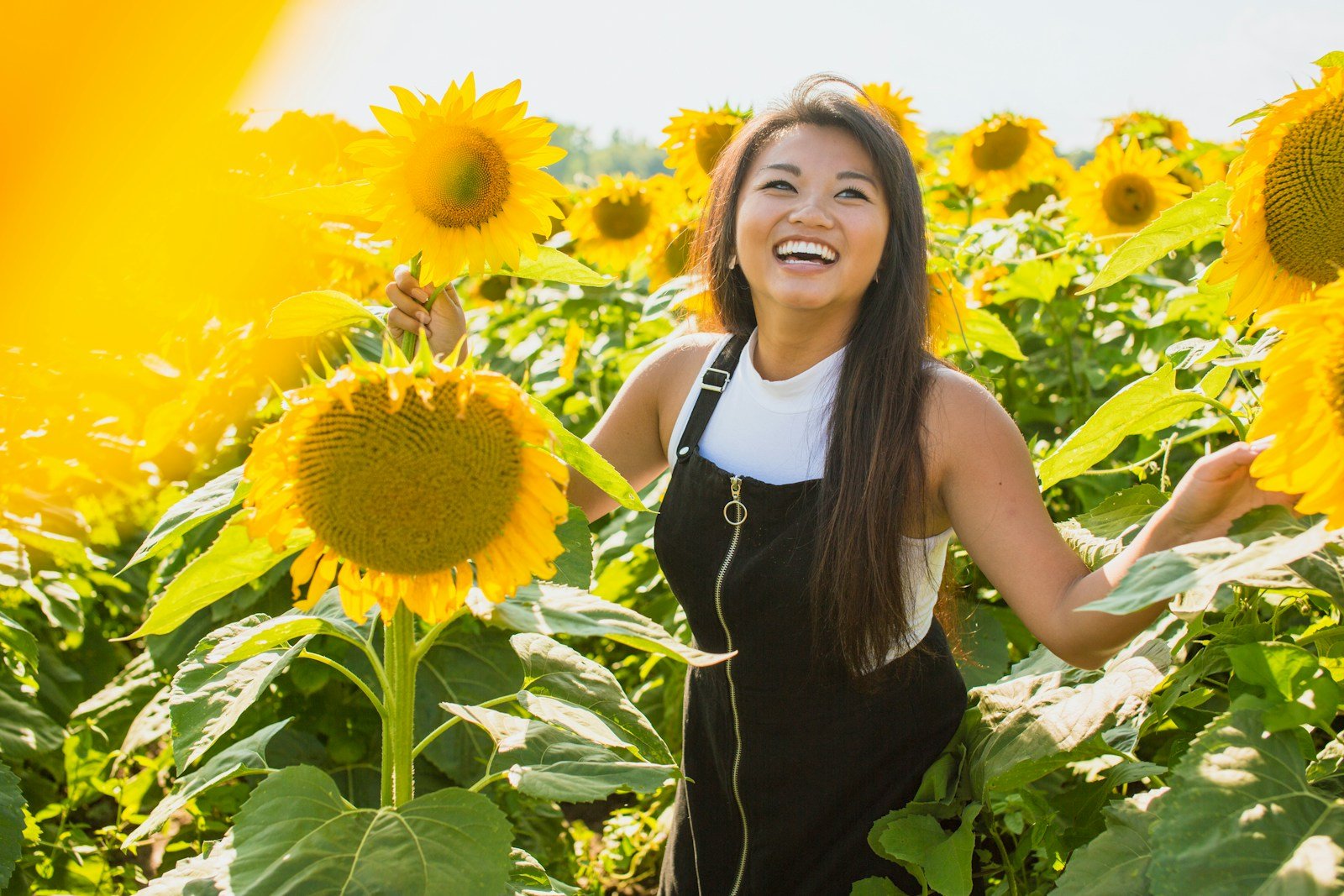 Impact of Sleep on Emotional Regulation | Best Tips to Enhance 1 woman surrounded with sunflowers at daytime
