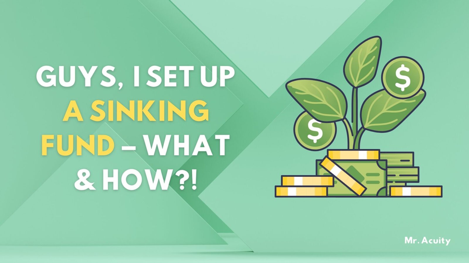 Guys, I Set Up A Sinking Fund – What & How?!