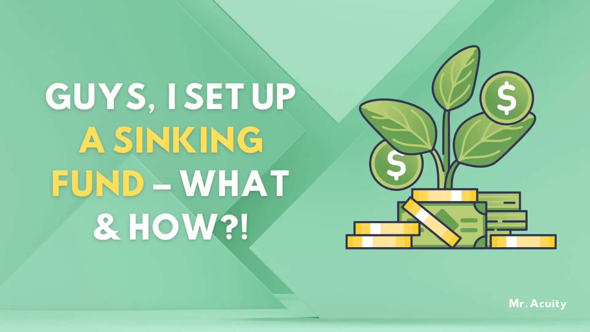 Guys, I Set Up A Sinking Fund – What & How?!