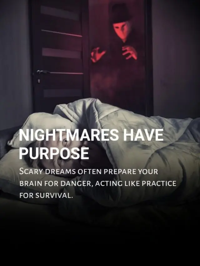 7 Weird & Mysterious Facts About Dreams!