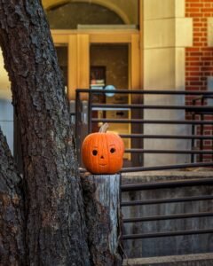 101 Halloween Party Decoration Ideas for 2026: Entrance, Table & Photo-Wall Ideas