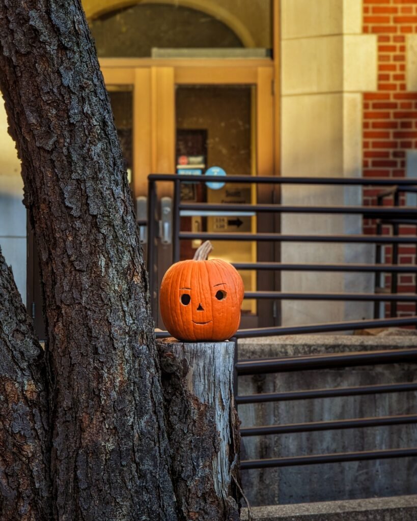 Carved pumpkin Halloween decoration