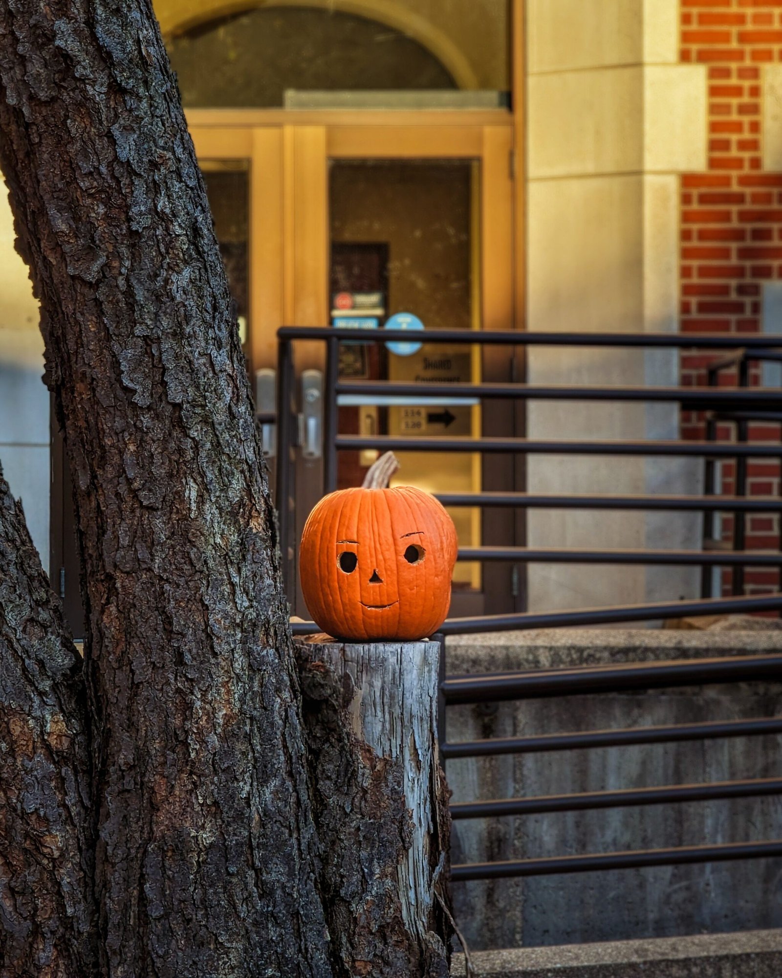 101 Halloween Party Decoration Ideas for 2026: Entrance, Table & Photo-Wall Ideas