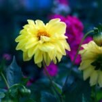 How Far Should a Couch Be from a 65-Inch TV? 4K Viewing Distance Guide
